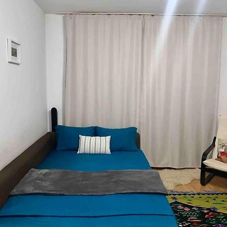 Central Apartment Muncii Area Netflix Bukarest Kültér fotó